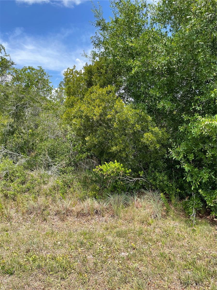 33514, 33522,33528 Washington Loop Rd, Punta Gorda, FL 33982 — photo 1 of 1