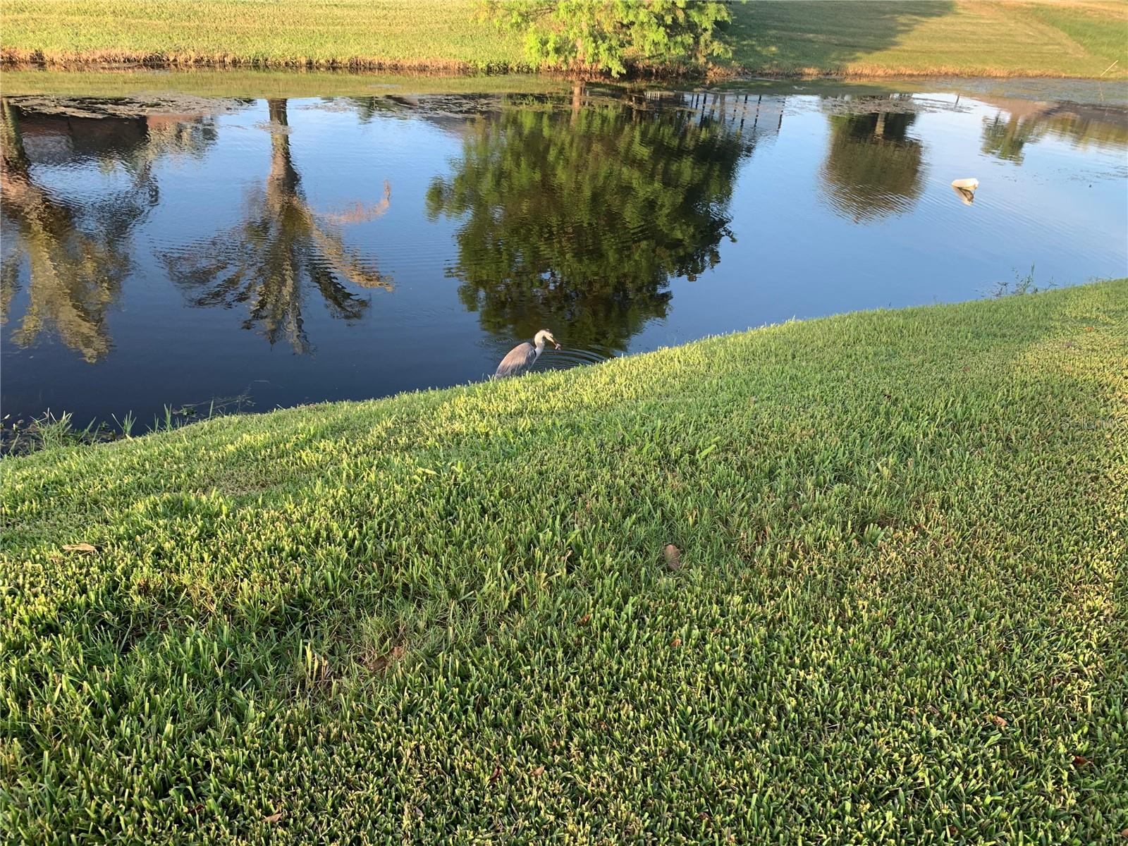 729 Rotonda Cir, Rotonda West, FL 33947 — photo 1 of 1