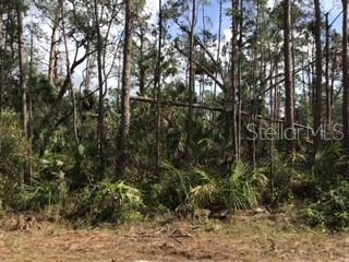 Ripley St, North Port, FL 34286 · MLS# A4557491 — photo 1 of 1