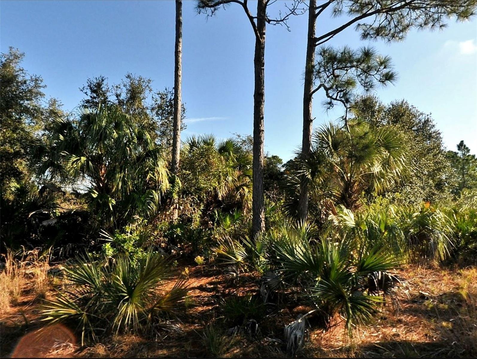 Lot 3 Hamburg Dr