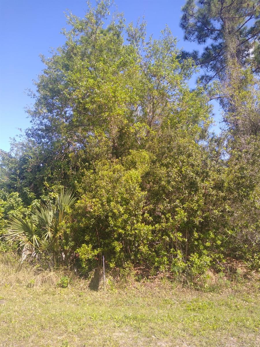 306 McDill Dr
