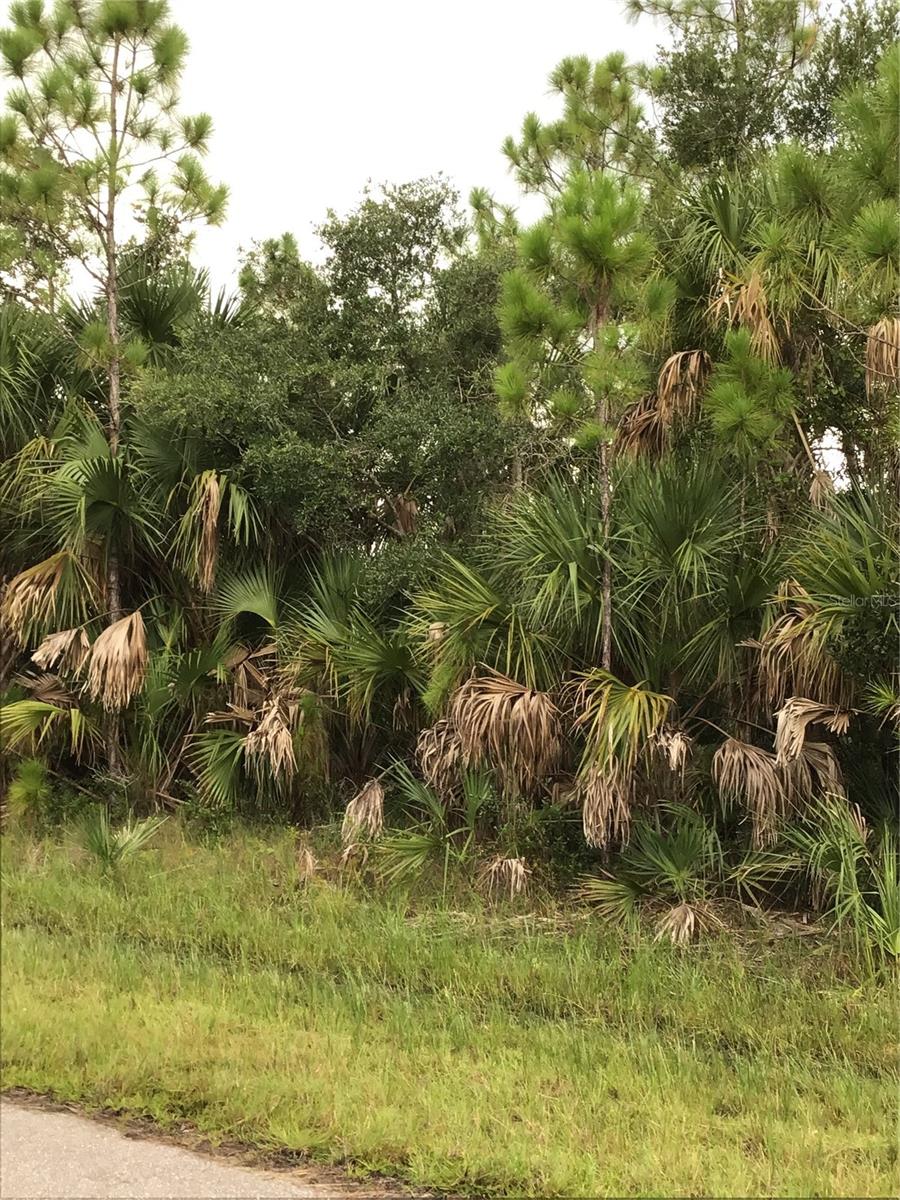 14202,m 14210,14218,14226 Hydrangea Ave, Port Charlotte, FL 33953 — photo 1 of 1