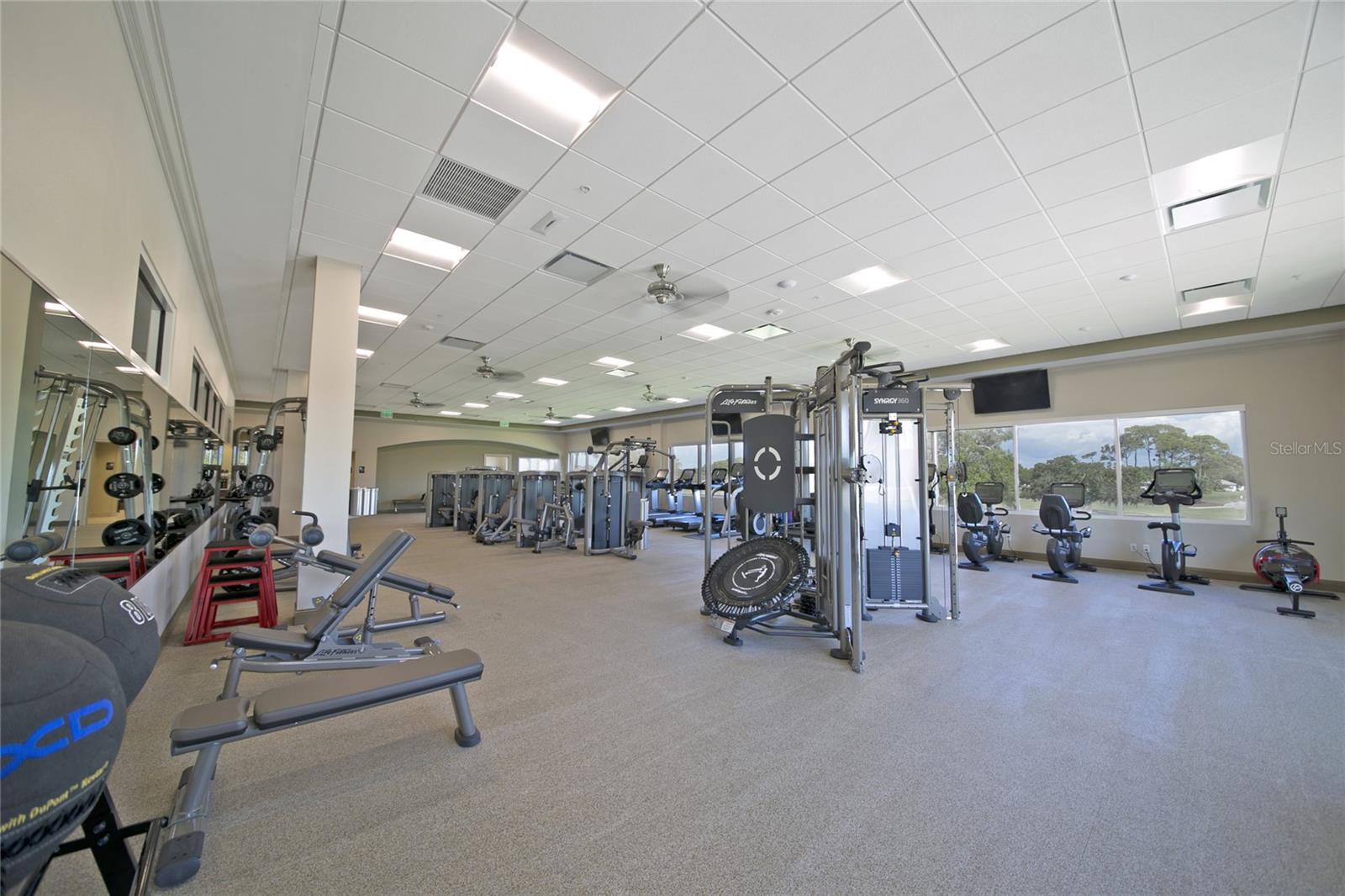 909 Macewen Dr, Osprey, FL 34229 — photo 58 of 62