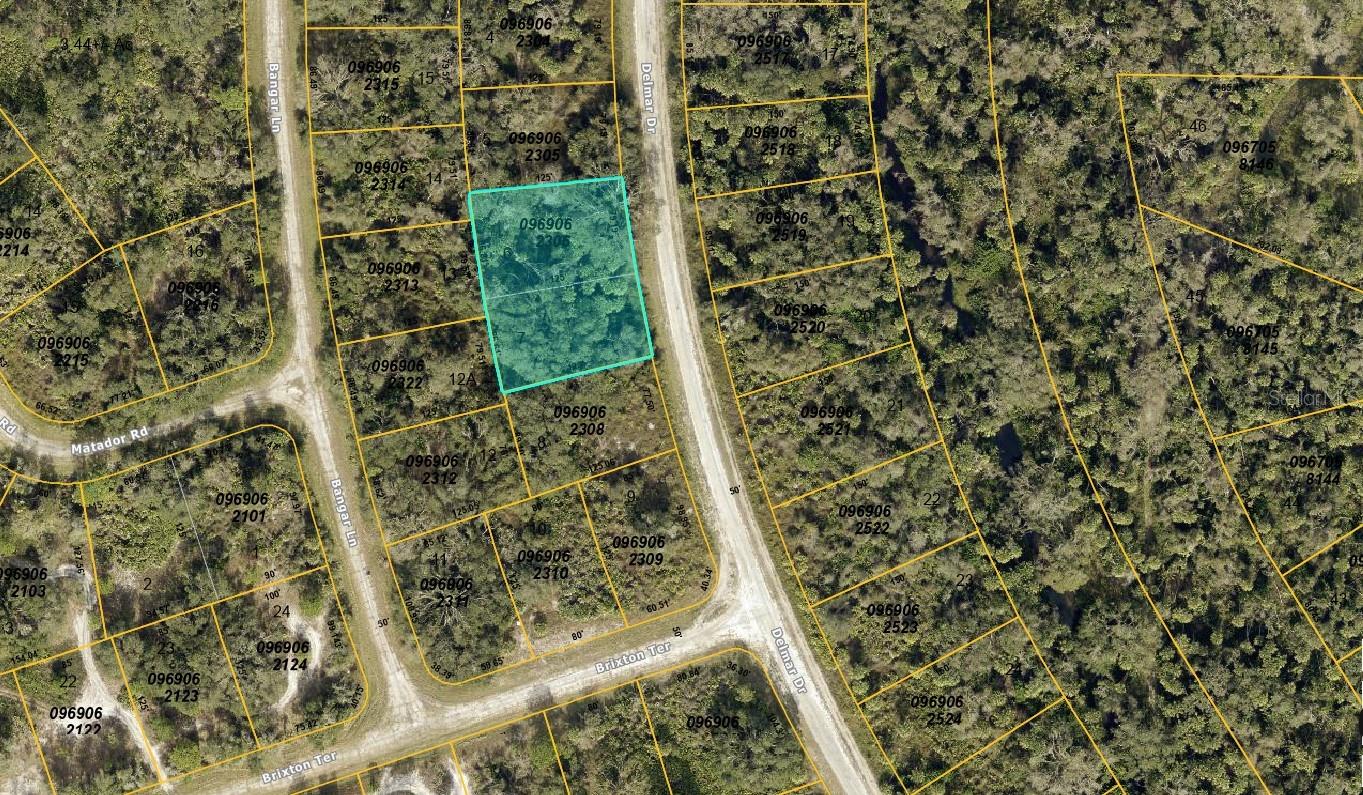 0969062306 Delmar Dr