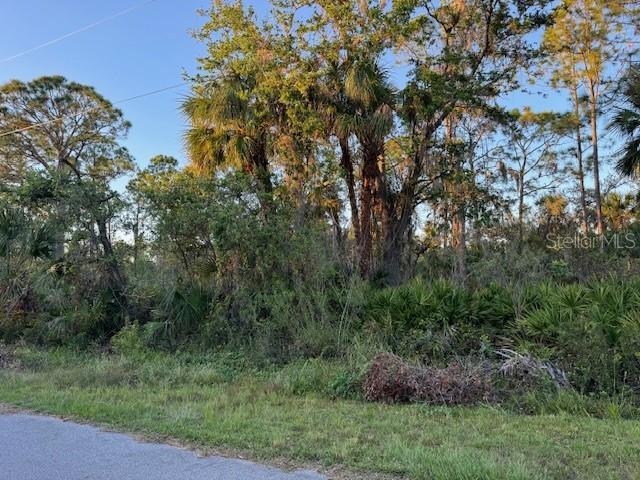 14103 Carrie Ave, Port Charlotte, FL 33953 — photo 1 of 1
