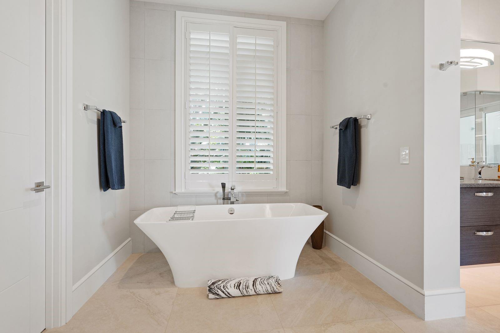 Primary Bath Relax Tub