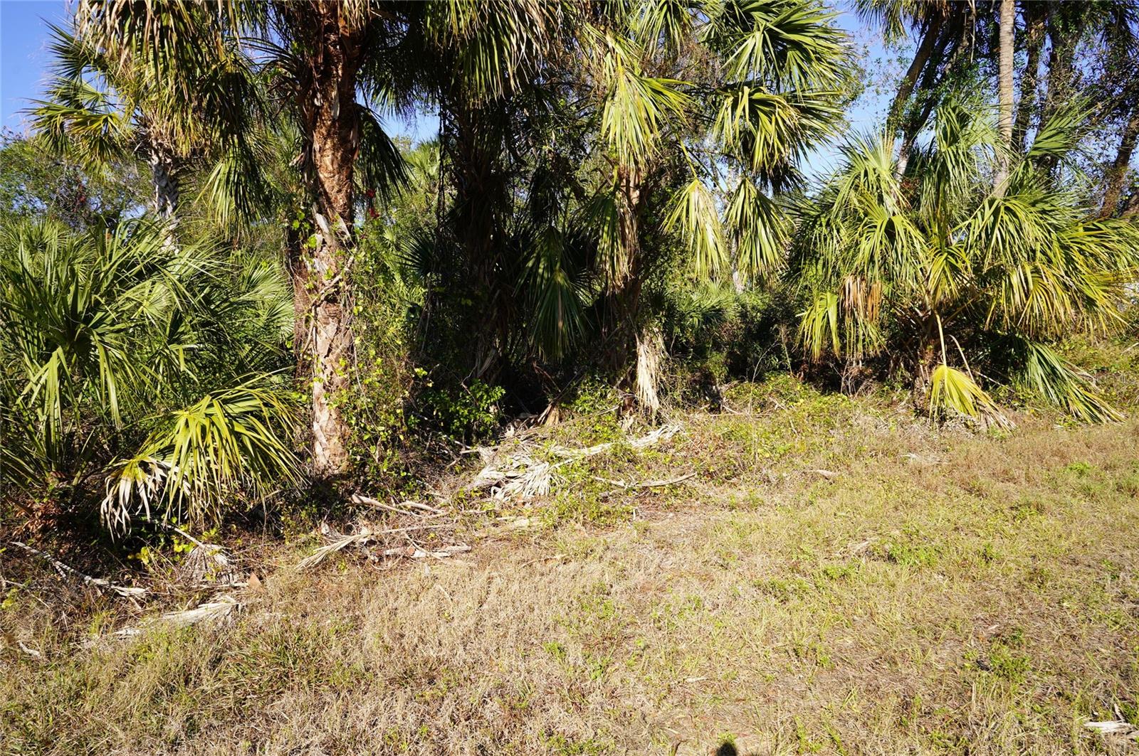 16150 Arcaro Ave, Port Charlotte, FL 33954 — photo 1 of 1