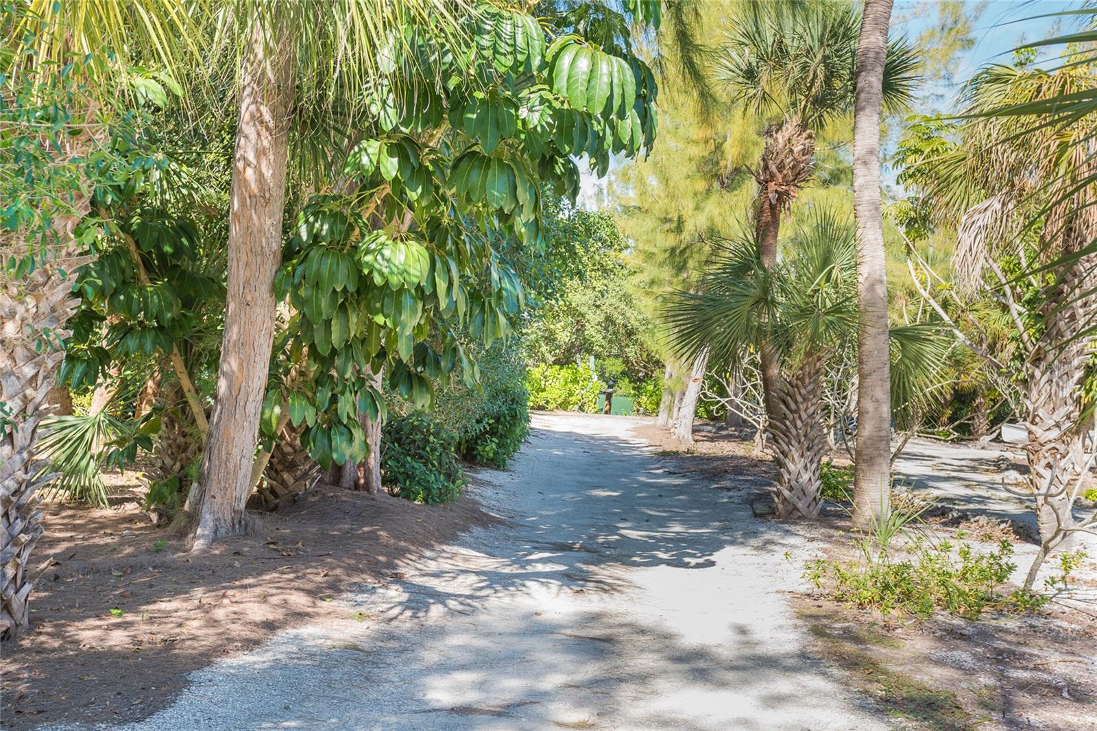 Walkway to Docks.