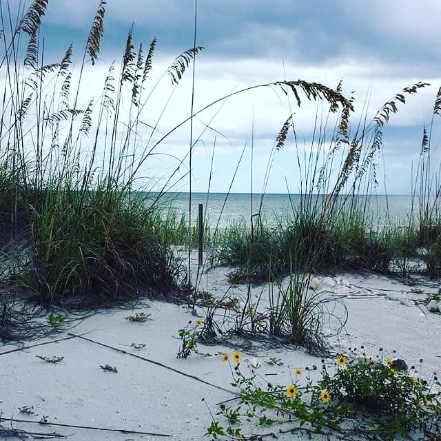 Beach.