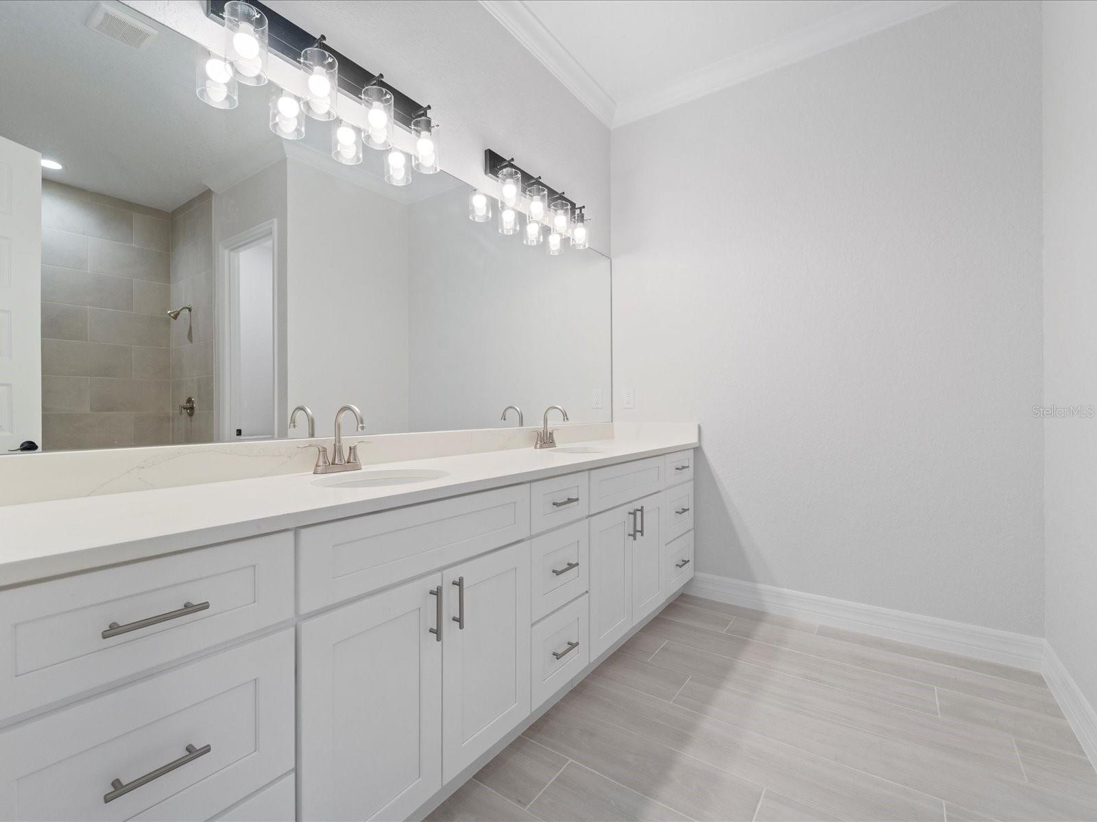 Owner's Bathroom