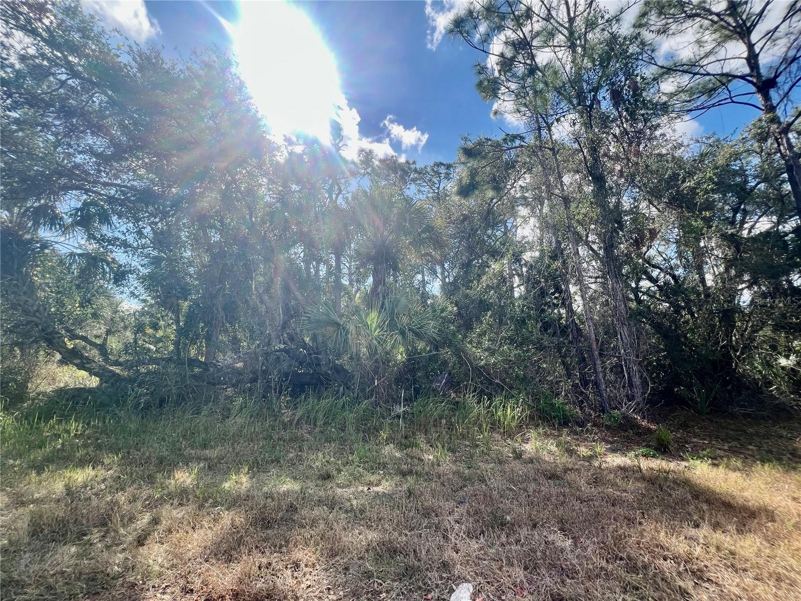 Lot 7 Abbeville Rd