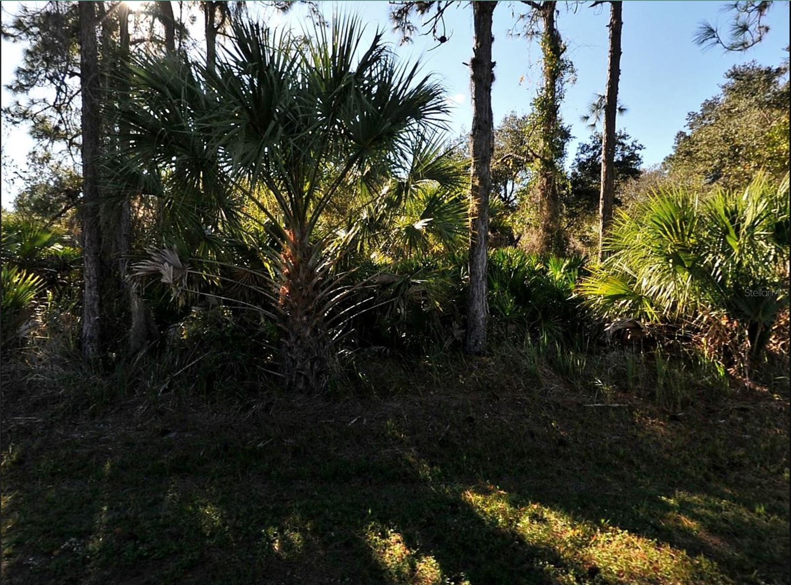 Lot 17 Ruiz St, North Port, FL 34286 · MLS# C7506881 — photo 1 of 1