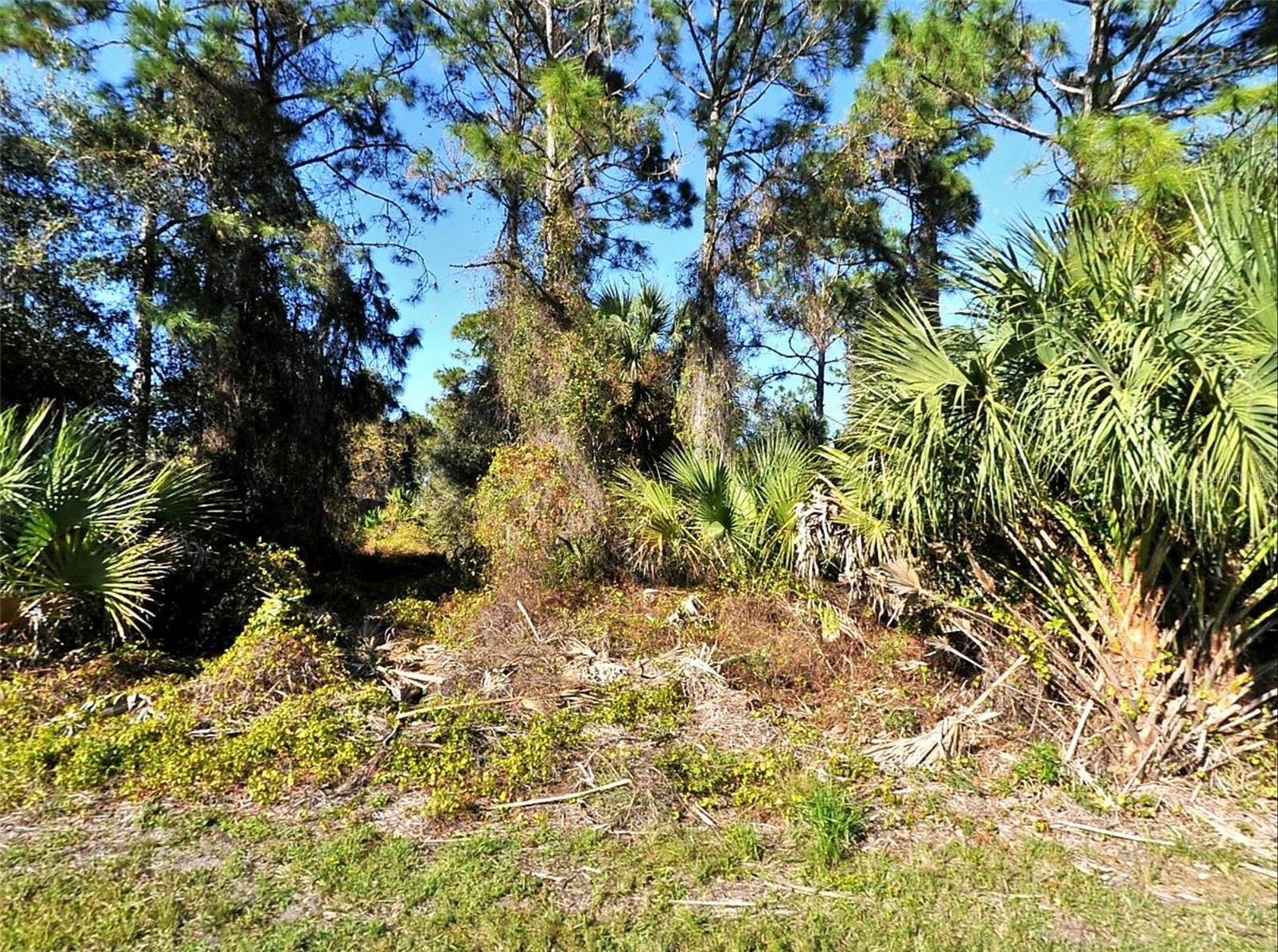 Lot 24 Renfro Ave, North Port, FL 34286 · MLS# C7506882 — photo 1 of 1