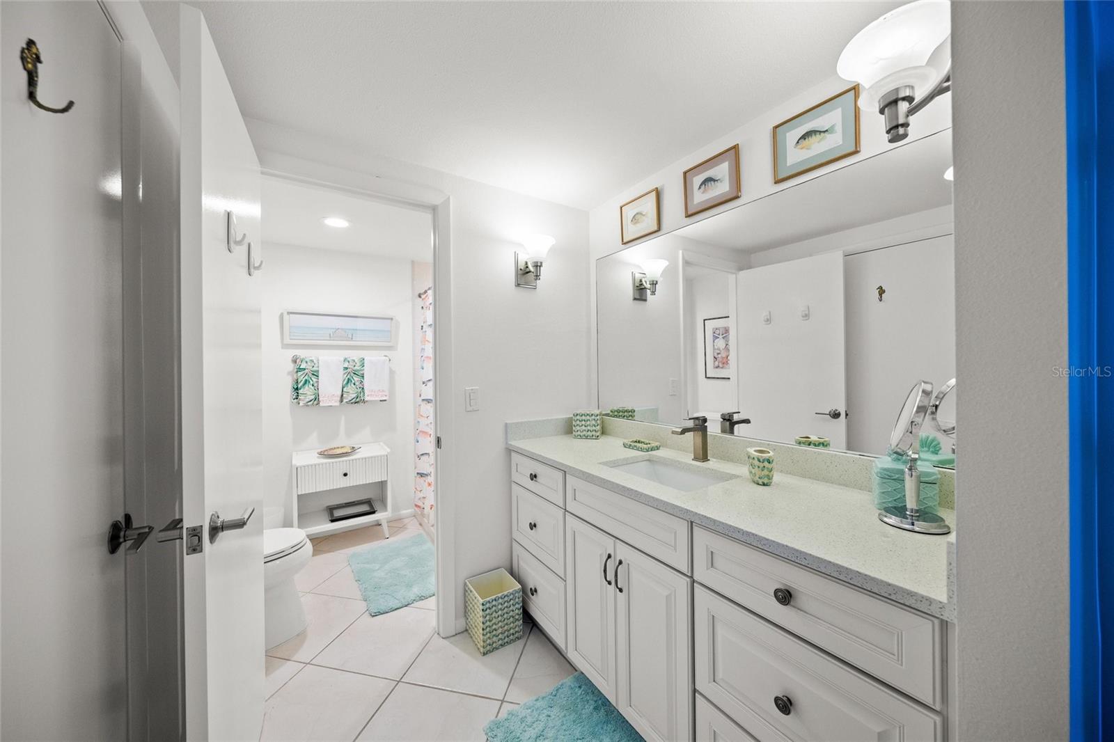 Master vanity sink and linen closet behind door
