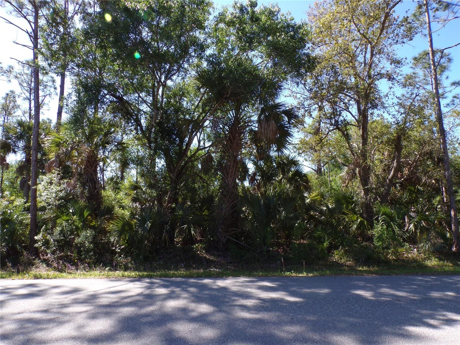 26203 Custer Rd