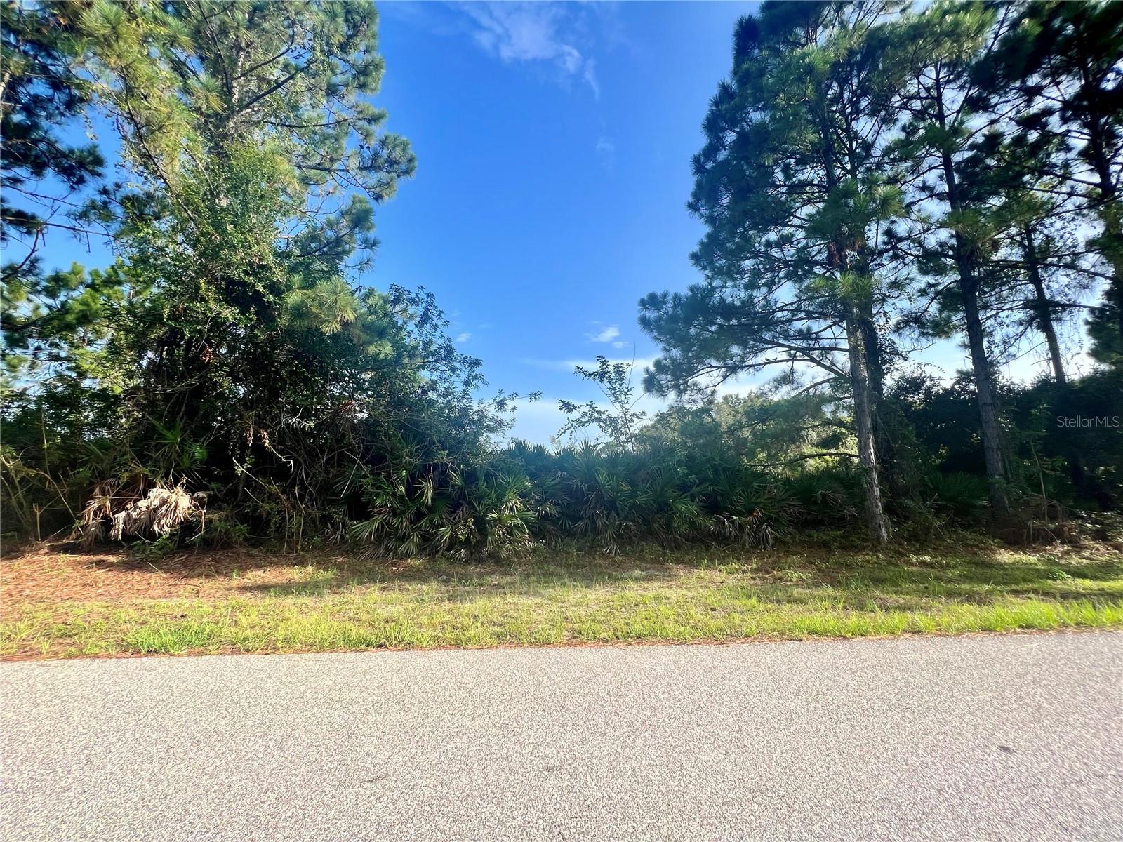 12415 Deepwoods Ave, Port Charlotte, FL 33981 — photo 1 of 1