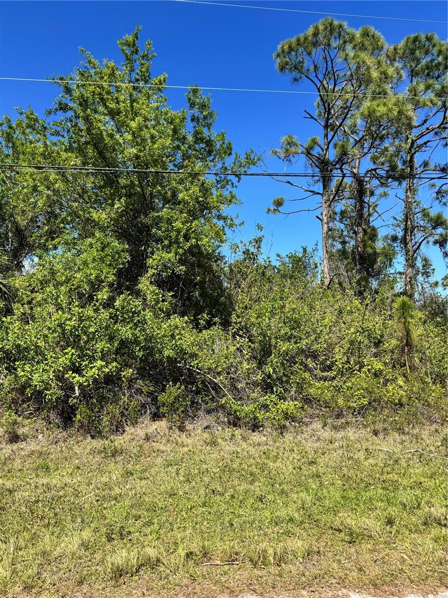 14400 Pocono Ave, Port Charlotte, FL 33981 — photo 1 of 1