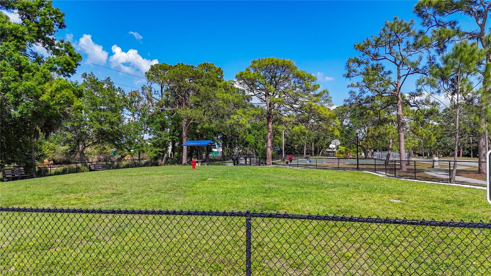 941 N Osprey Ave, Sarasota, FL 34236 — photo 50 of 53