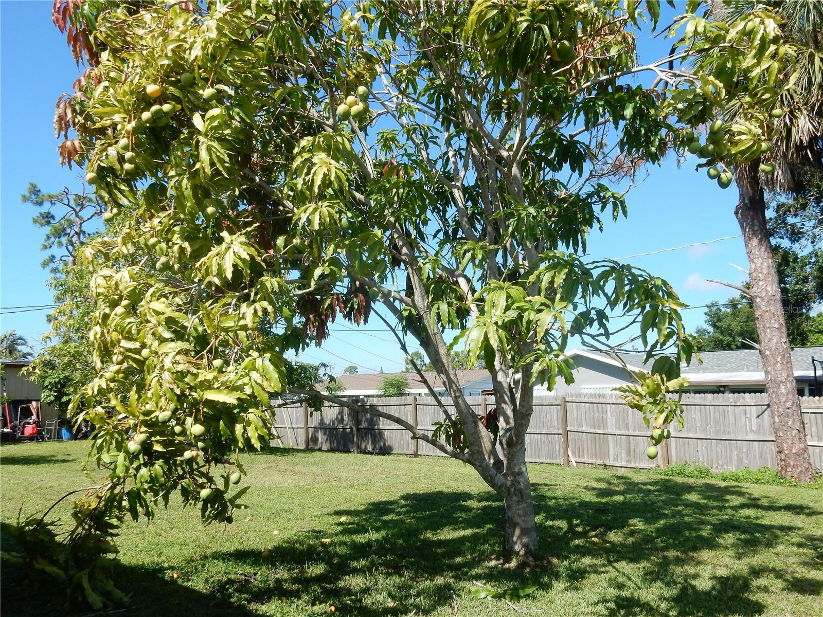 582 Reading St NW, Port Charlotte, FL 33952 — photo 21 of 23
