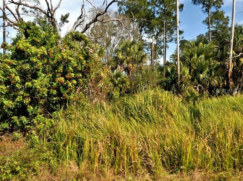 Firebird Rd, North Port, FL 34288 · MLS# O6300324 — photo 1 of 1