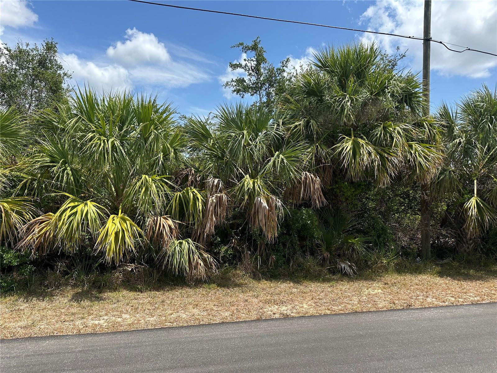 12006 Grouse Ave, Port Charlotte, FL 33981 — photo 1 of 1