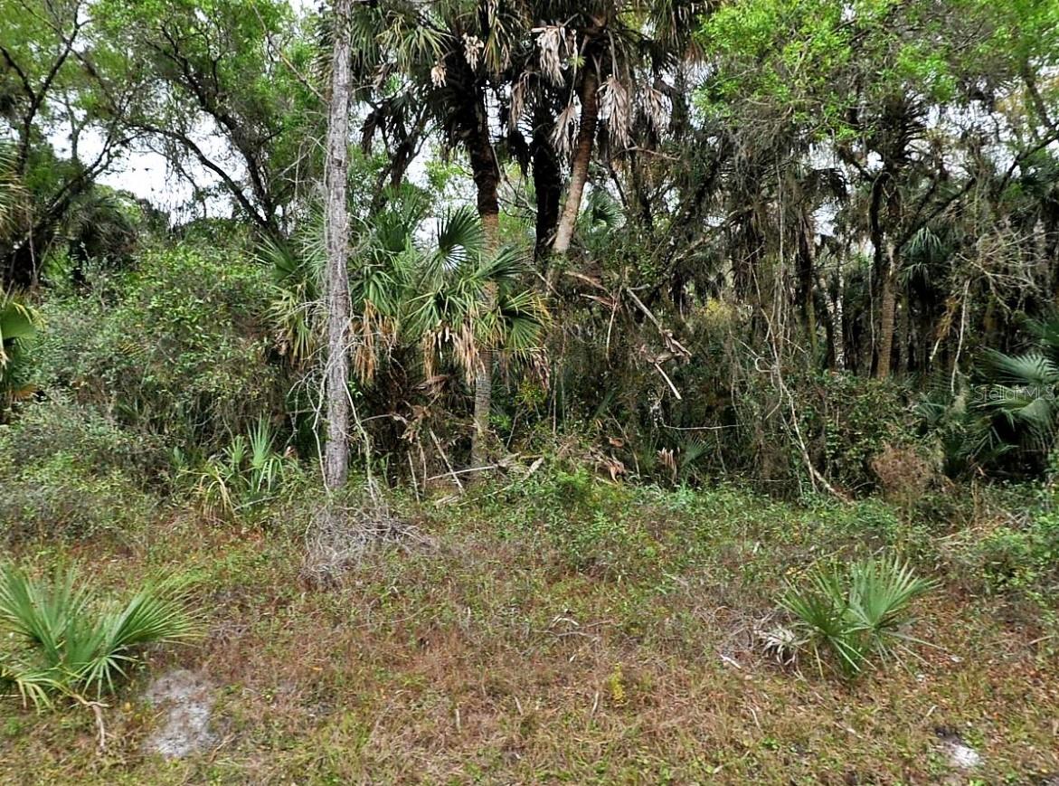 Hurdle Rd., North Port, FL 34291 · MLS# A4652471 — photo 1 of 1
