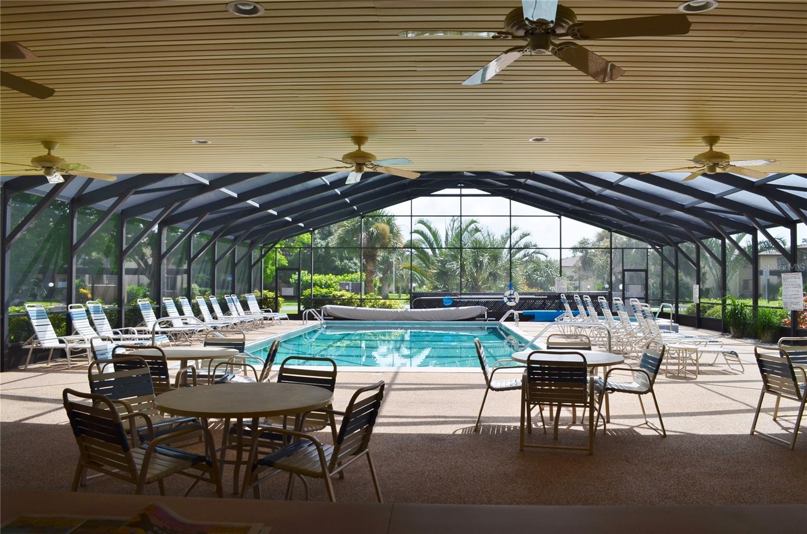 Large pool and deck Area