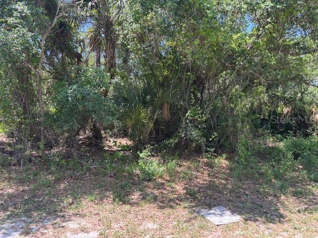 18431 Fremont Ave, Port Charlotte, FL 33954 — photo 1 of 1
