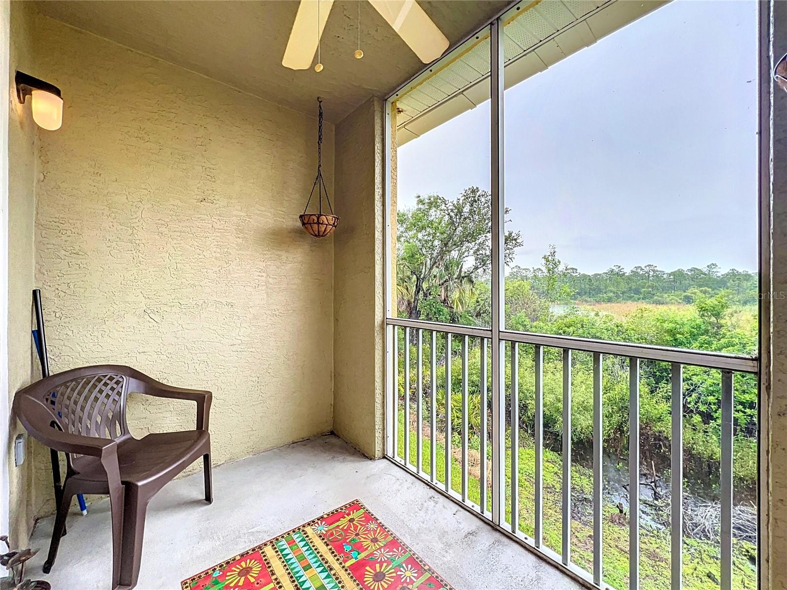 Peaceful green space wetland views from the living room and lanai. Nathan Benderson Park is just east of Las Palmas
