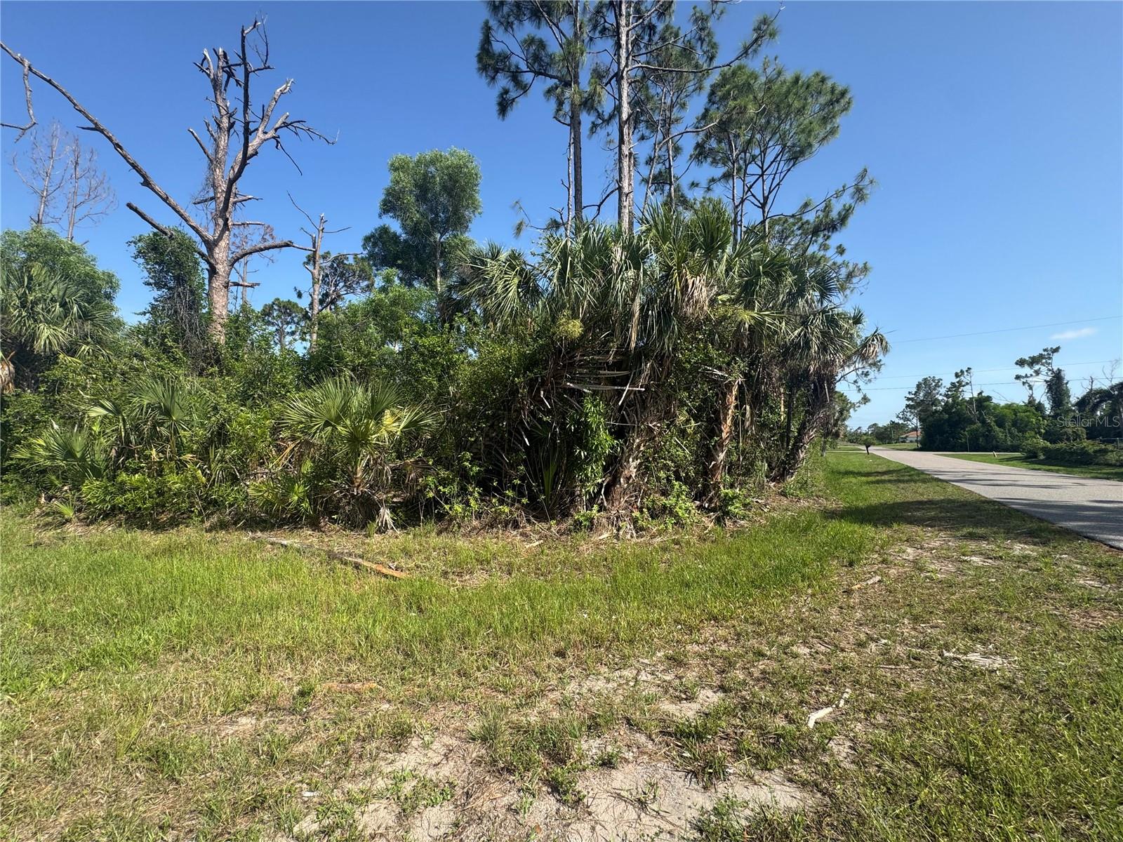 12401 Perrine Ave, Port Charlotte, FL 33981 — photo 1 of 1