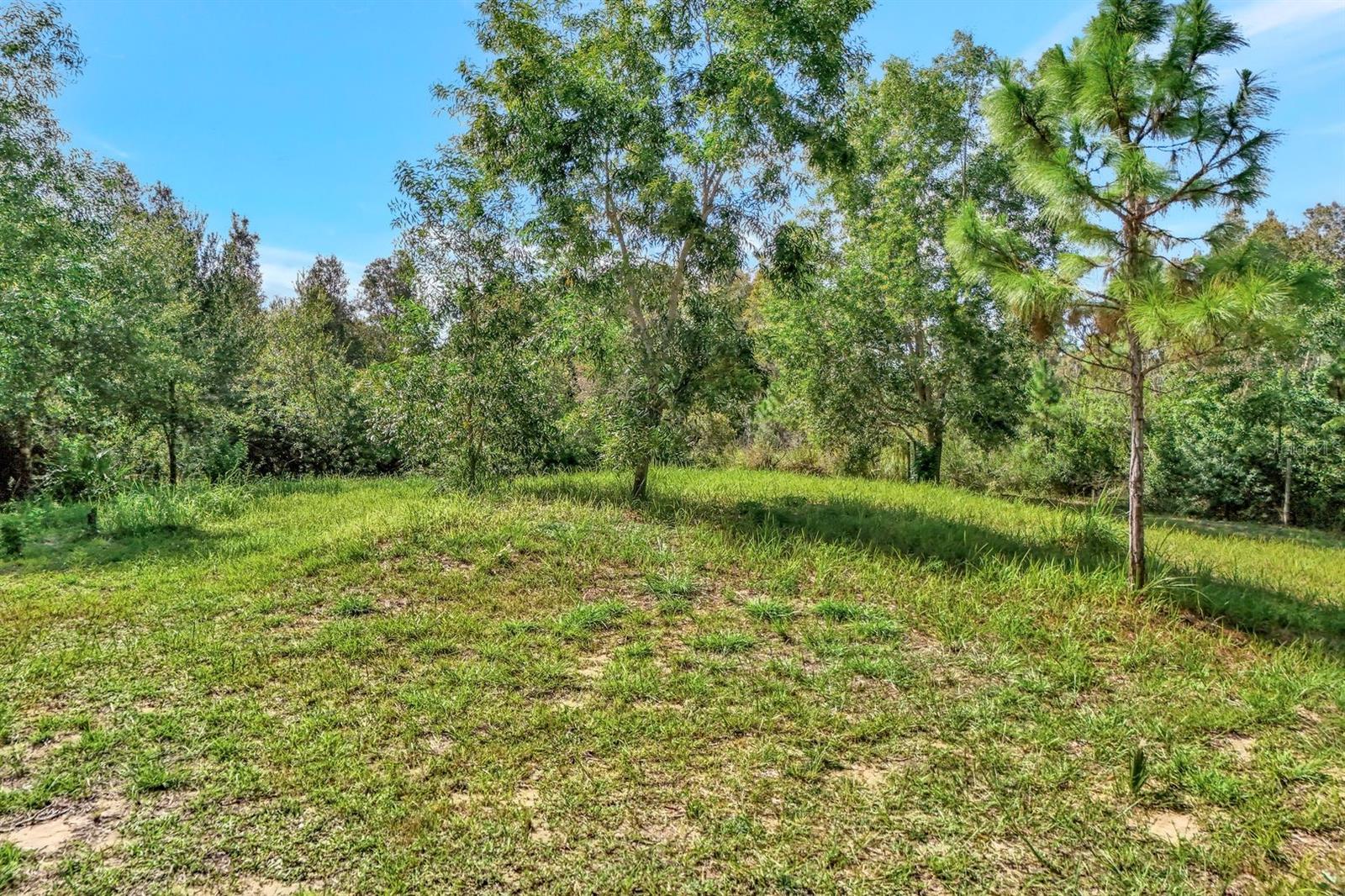 41601 Little Farm Rd, Punta Gorda, FL 33982 — photo 1 of 1