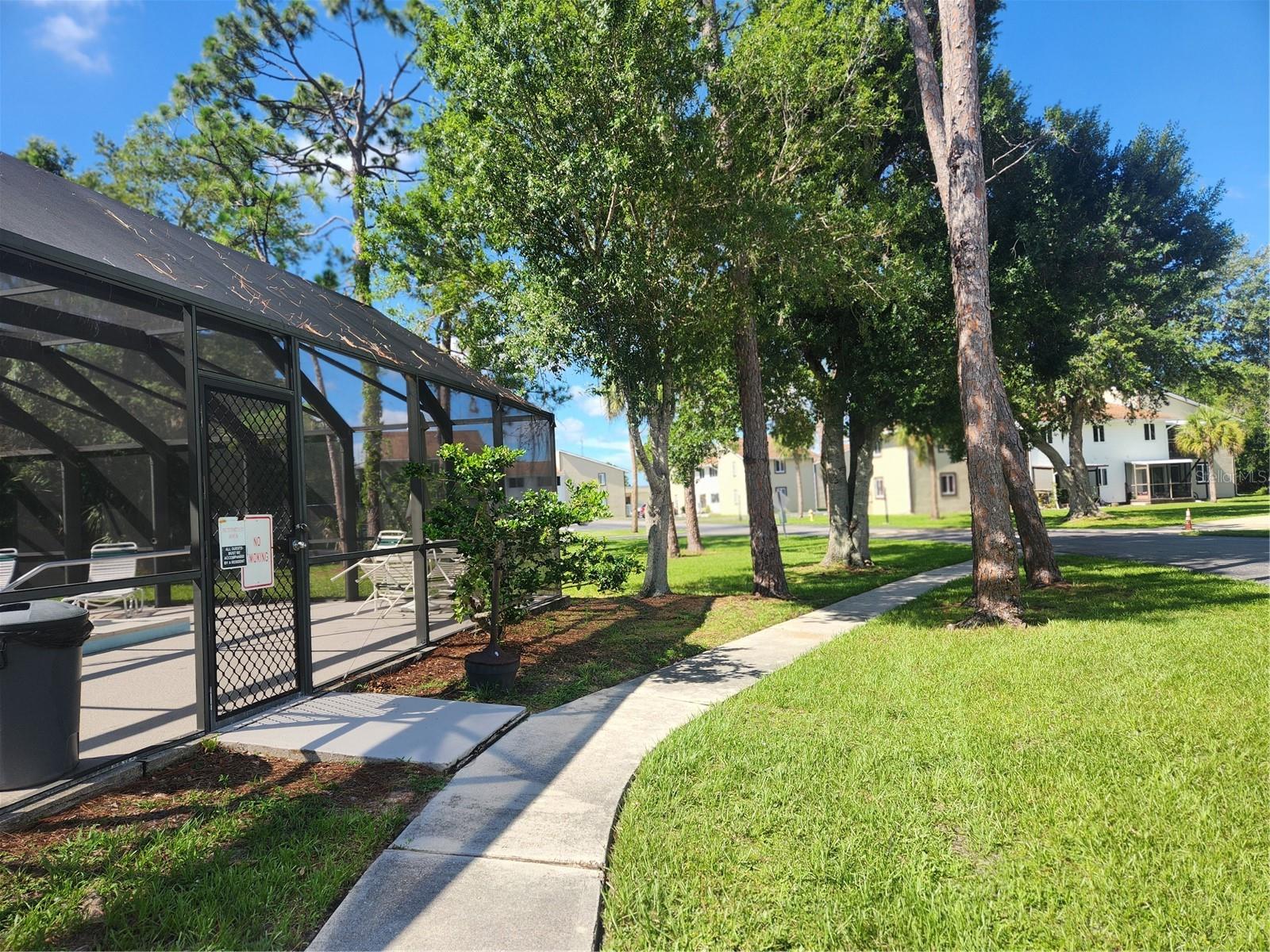 Path to pool