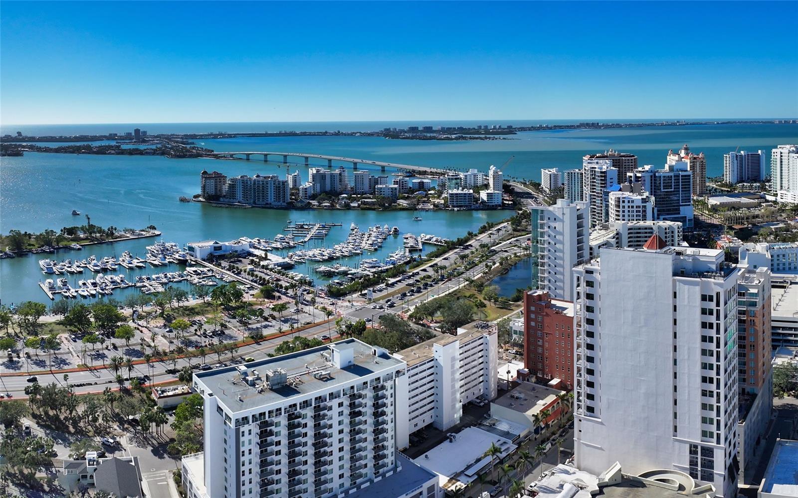 33 S Palm Ave #1501, Sarasota, FL 34236 — photo 3 of 55
