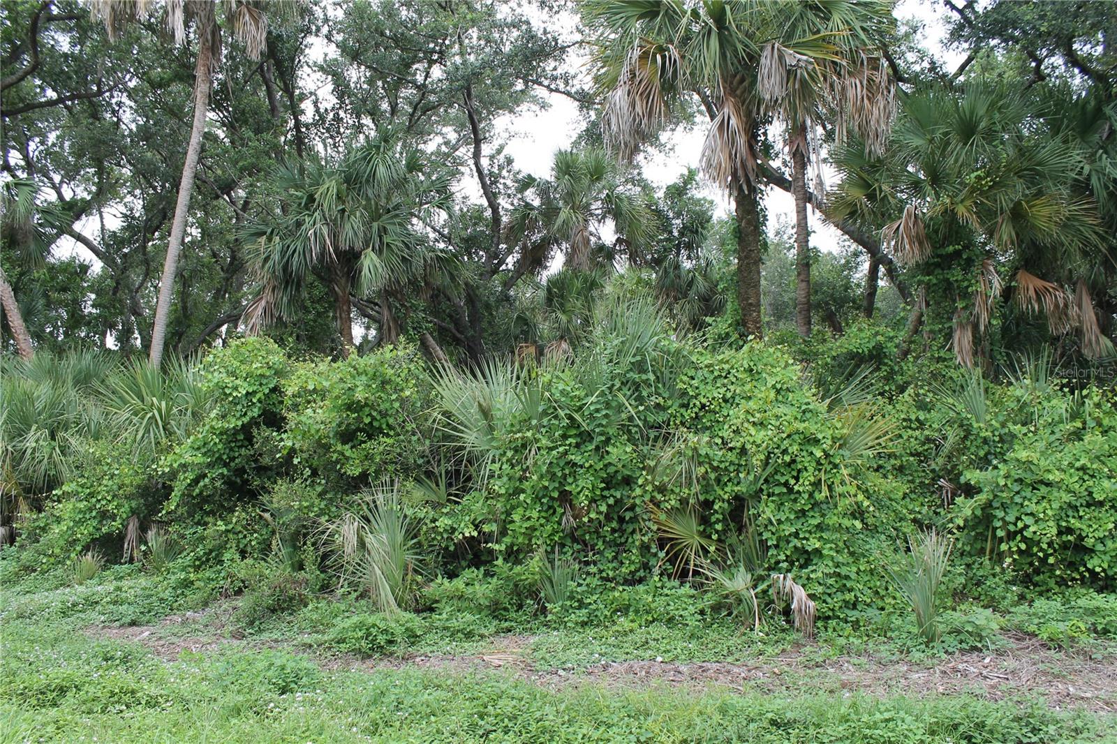 18106 Sinatra Ave, Port Charlotte