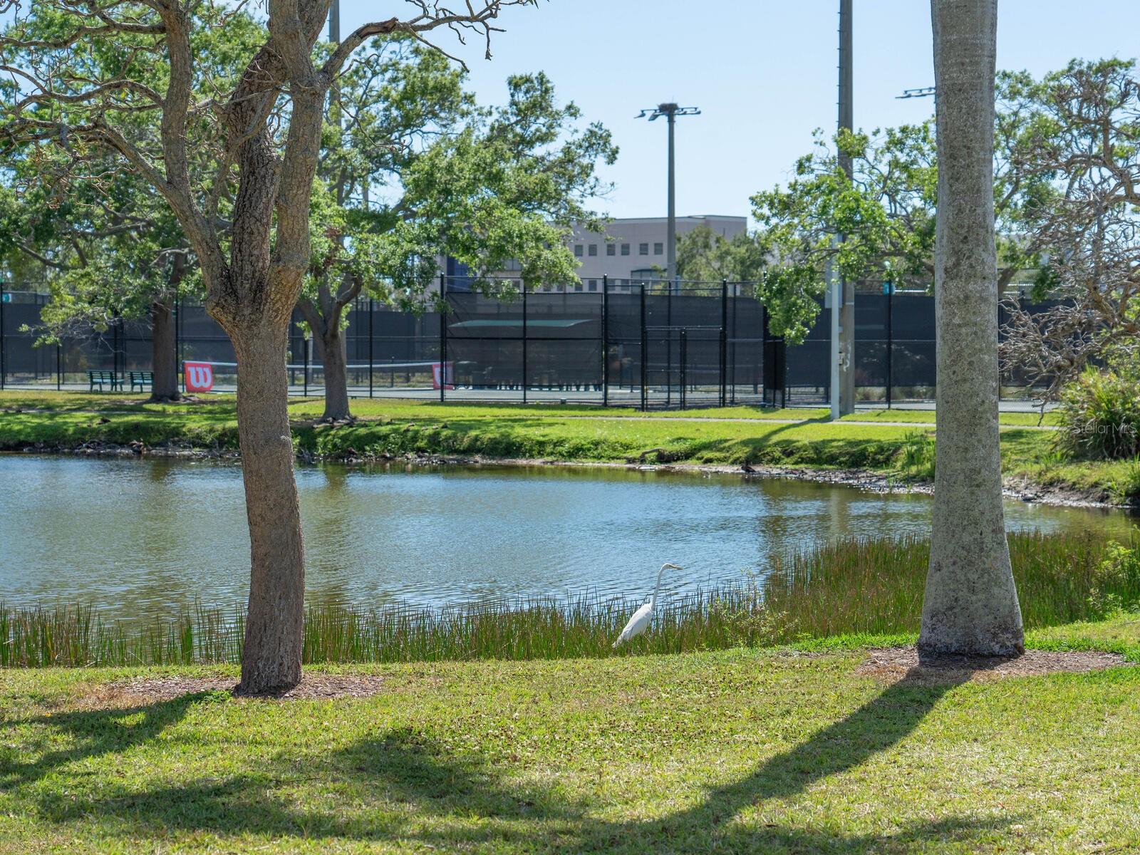 152 Audubon Pl, Sarasota, FL 34237 — photo 50 of 67