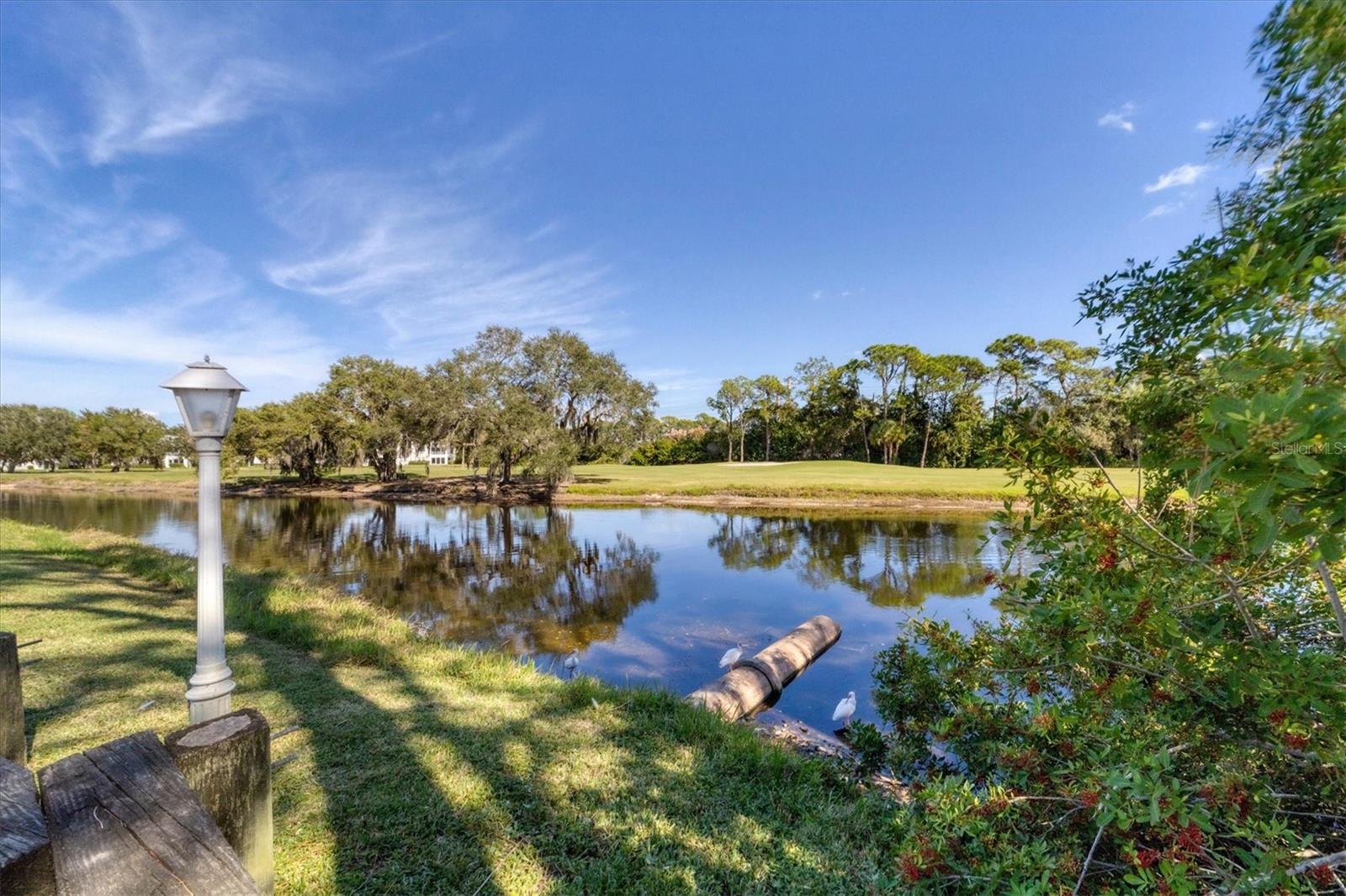5662 Long Common Cir #8, Sarasota, FL 34235 — photo 44 of 92