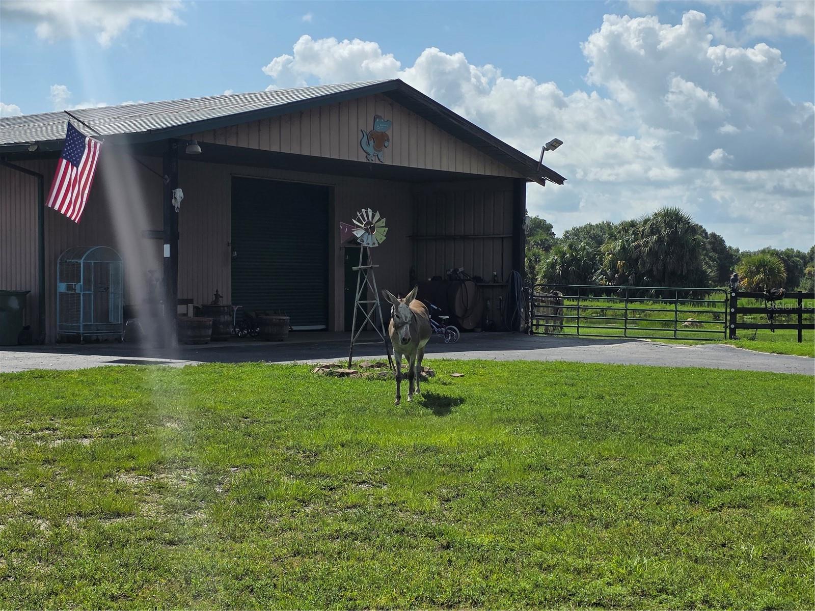 43451 & 43631 Farabee Rd, Punta Gorda, FL 33982 — photo 34 of 87