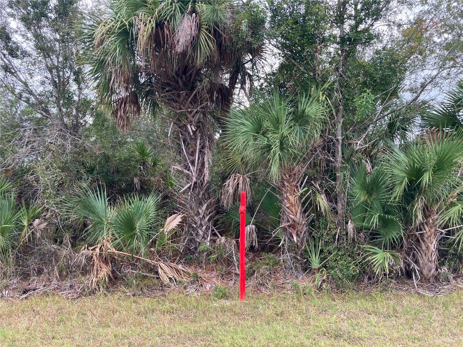 4363 Schneider St, Port Charlotte, FL 33981 — photo 1 of 1