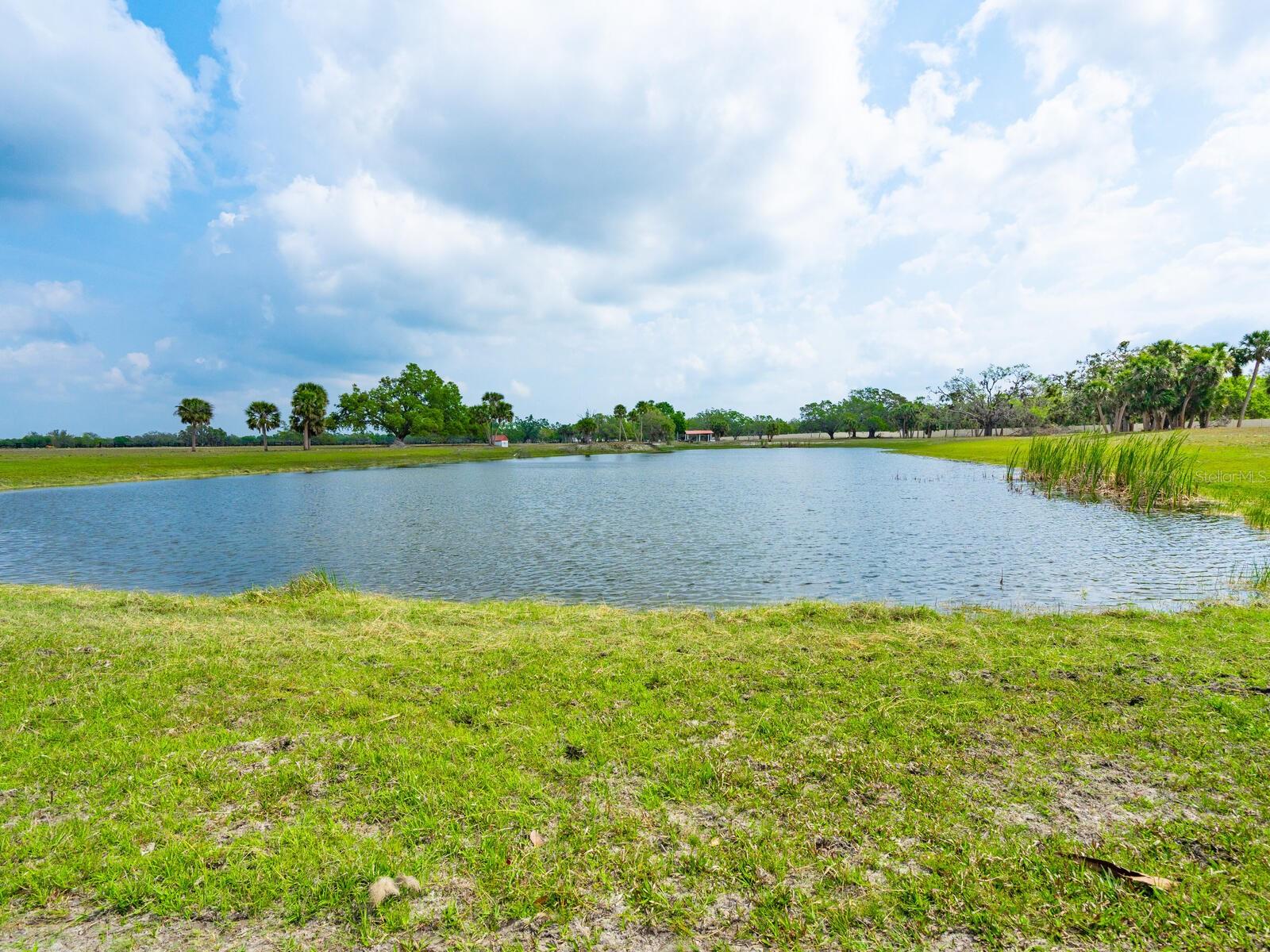 600 N Jackson Rd, Venice, FL 34292 — photo 28 of 61