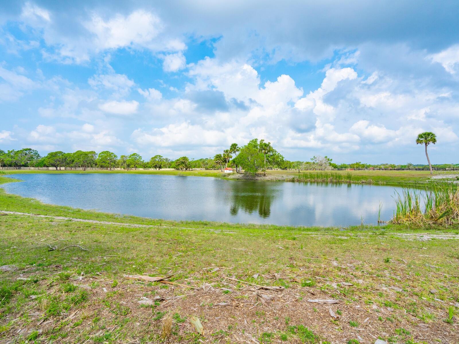 600 N Jackson Rd, Venice, FL 34292 — photo 45 of 61