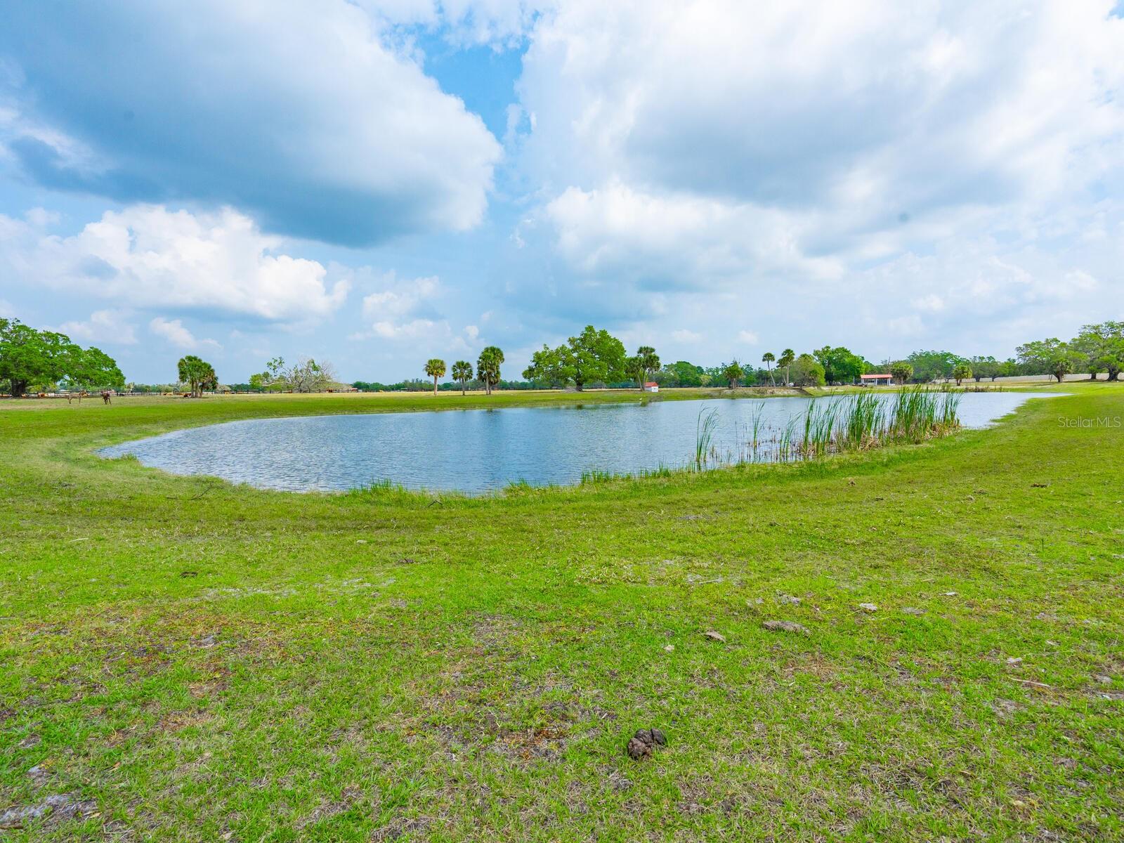 600 N Jackson Rd, Venice, FL 34292 — photo 46 of 61