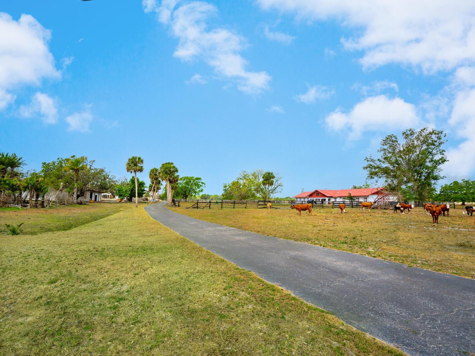 600 N Jackson Rd, Venice, FL 34292 — photo 58 of 61