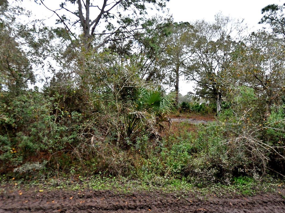 Henrietta Ave, North Port, FL 34291 · MLS# N6139884 — photo 1 of 1