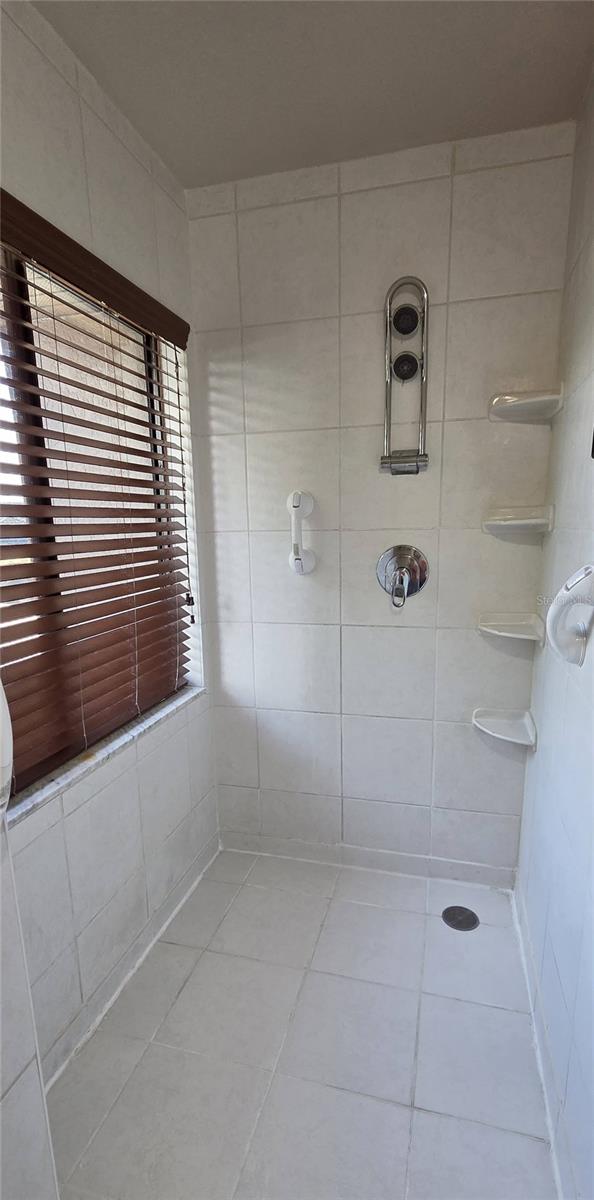 Master bath walk-in shower