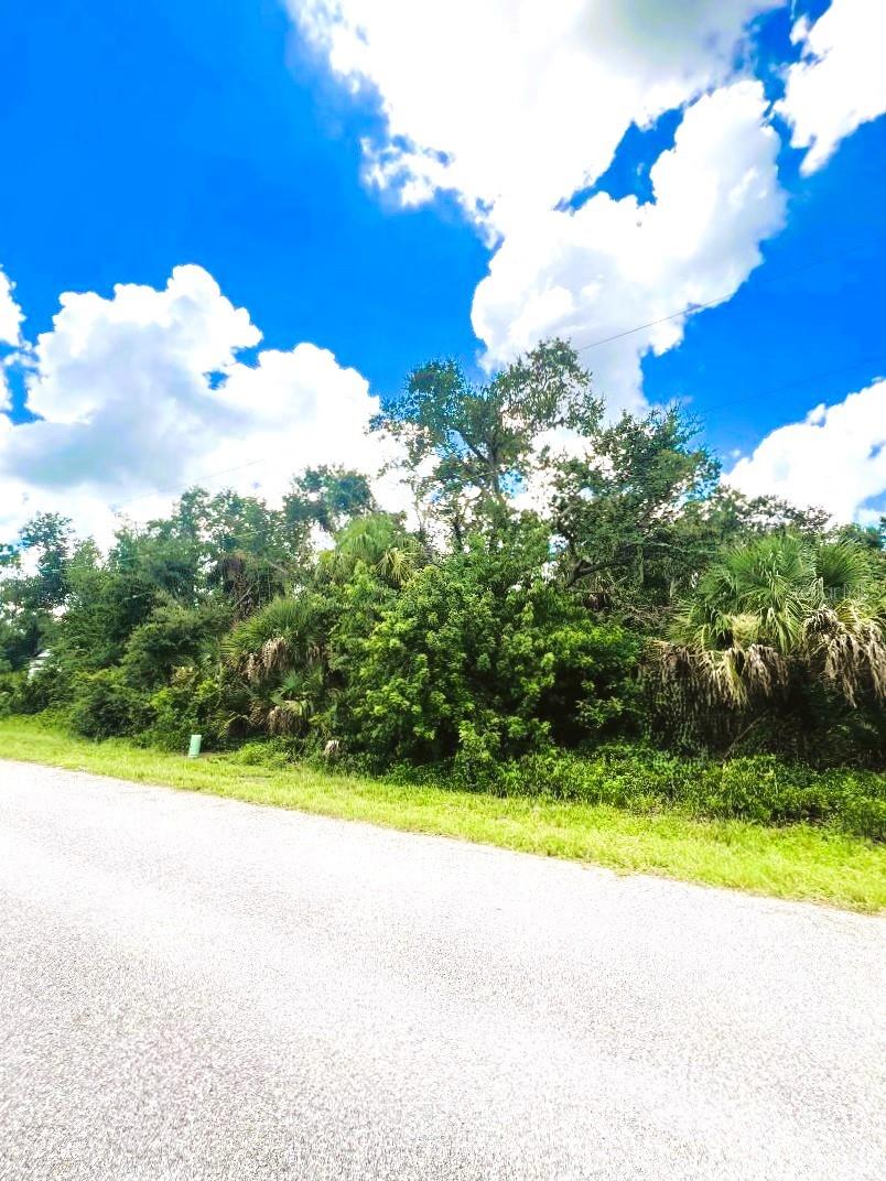 View of the Lot!! Buy Two Lots and Create Almost Half an Acre!!