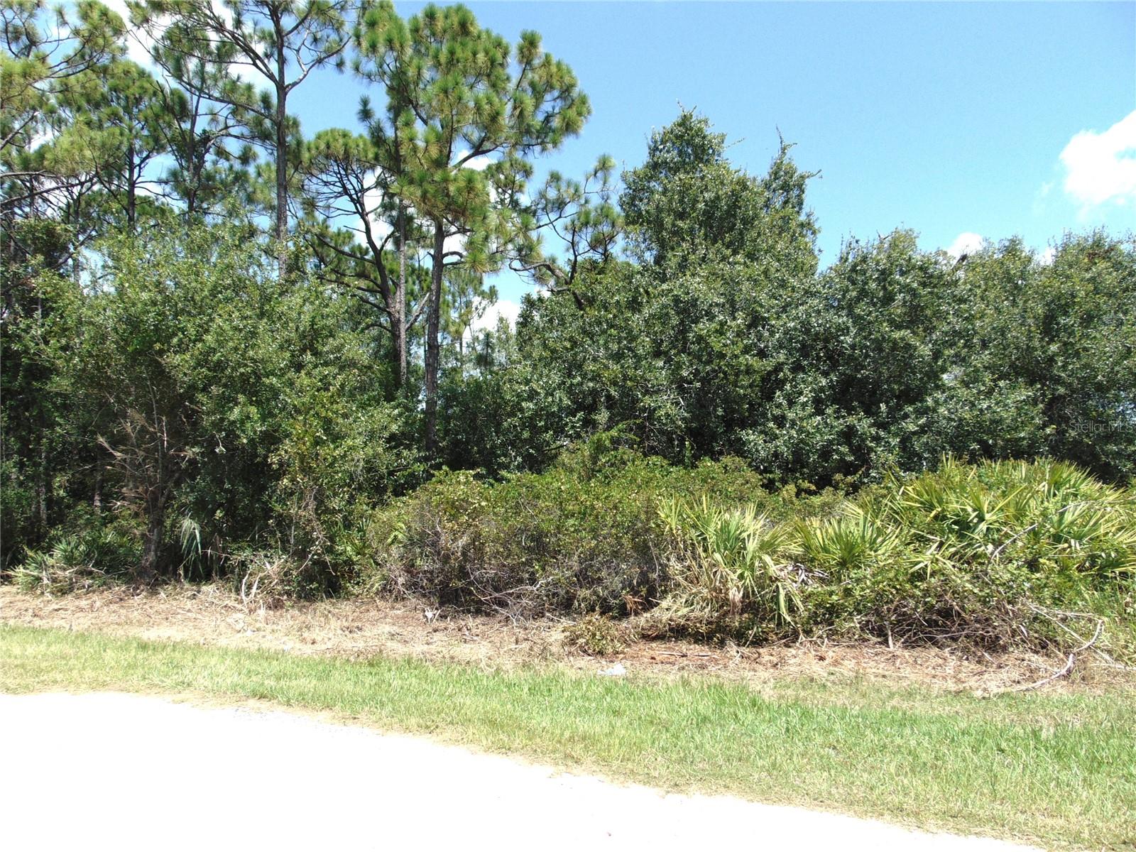 23376 Corinne Ave, Port Charlotte, FL 33980 — photo 1 of 1
