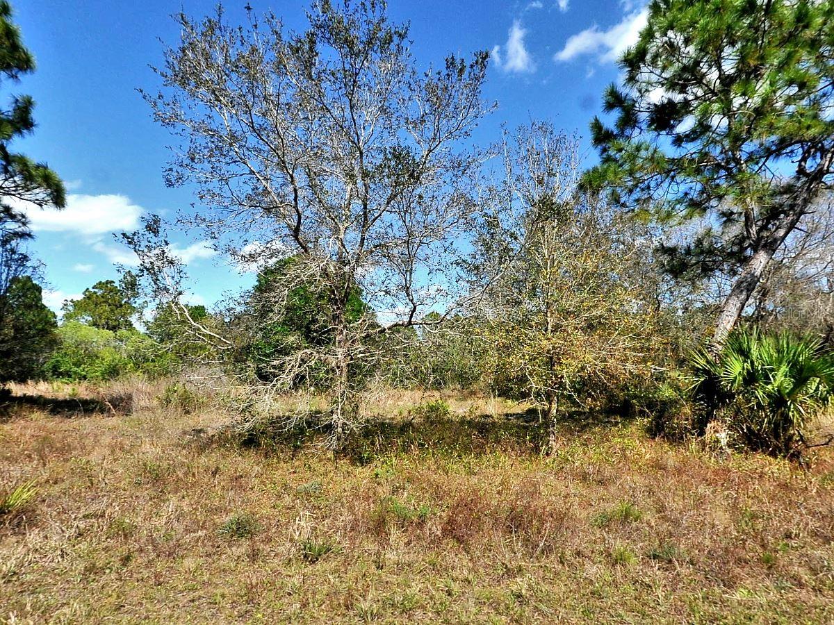 Nocturn St, North Port, FL 34288 · MLS# A4663302 — photo 1 of 1