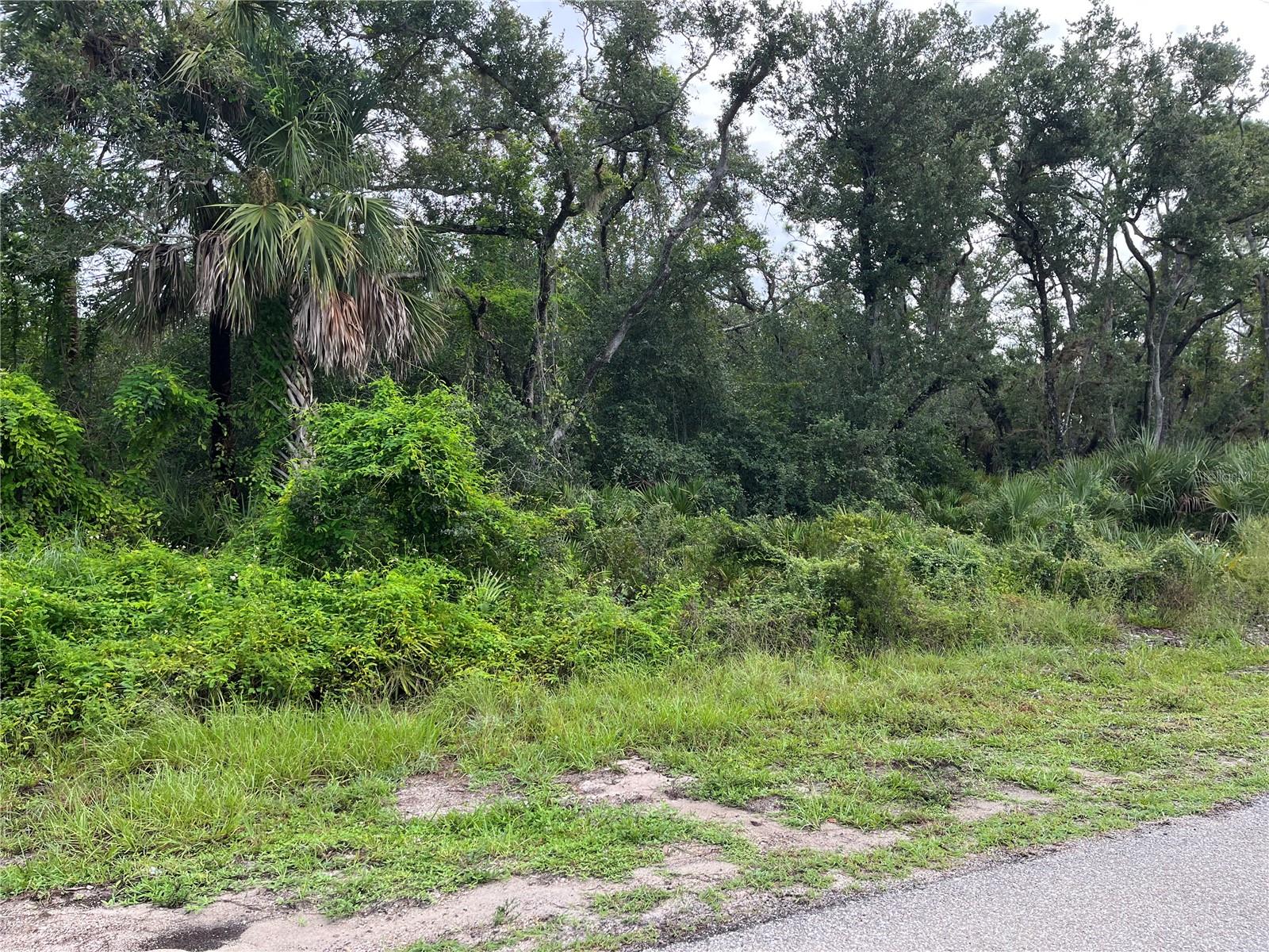 17084 Johns Ave, Port Charlotte, FL 33948 — photo 1 of 1