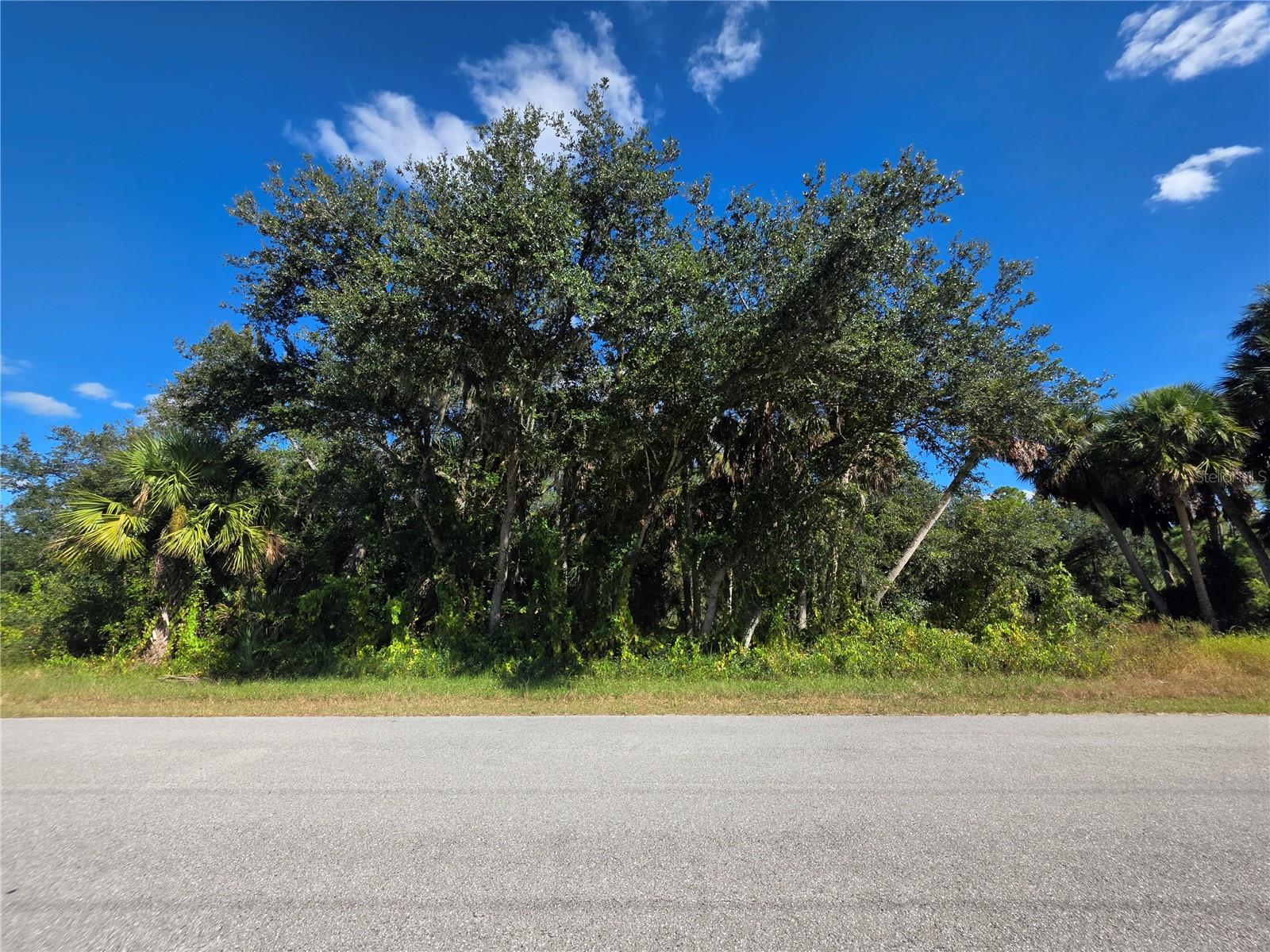 414 Liddy St, Port Charlotte, FL 33954 — photo 1 of 1