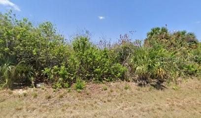 335 Flynn St, Port Charlotte, FL 33954 — photo 1 of 1
